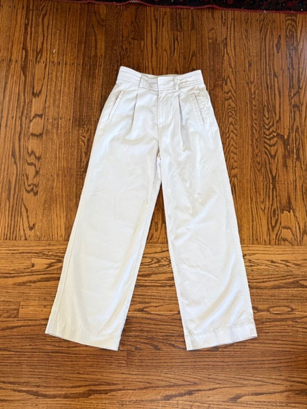 Everlane Draper Pleated Pant in Buttersmooth - XS